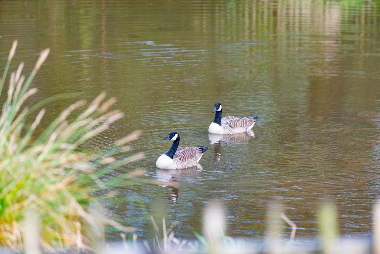 Our Goldfinch 1- Sleeps 2 Persons- Private Hot Tub-Pet Friendly-Tranquil Holiday Away From It All Yet Not Far From St Austell- The Holiday Home Has One Bedroom, Living And Dining Area, Equipped Kitchen-Decking-Outdoor Furniture-Fishing Lakes And More Grampound Exterior foto
